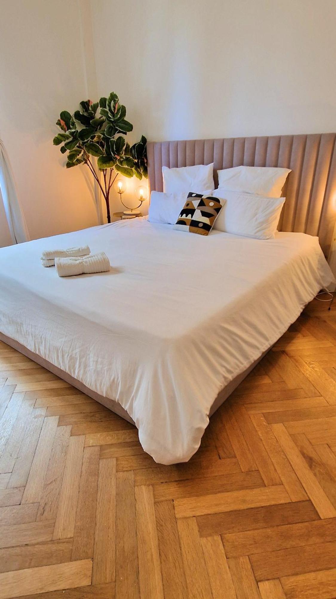 Jazzy Et Spacieux Appartement Prom Des Anglais 尼斯 外观 照片